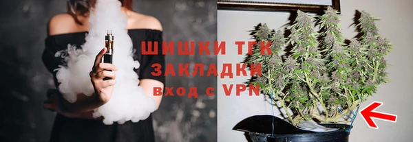 mdpv Ельня