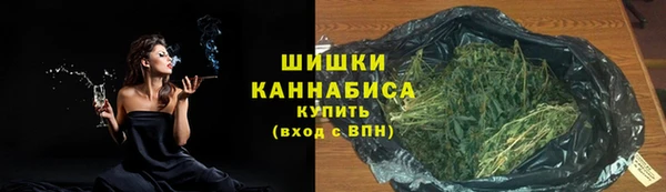 mdpv Ельня