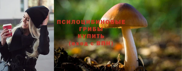 mdpv Ельня