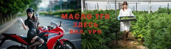 mdpv Ельня