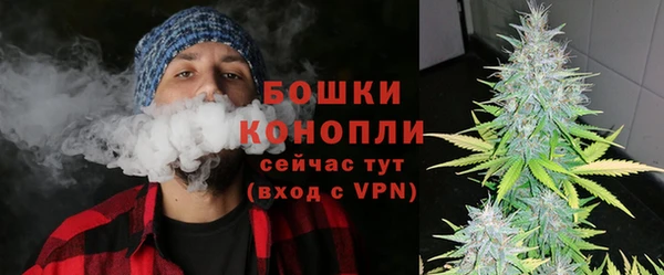 mdpv Ельня
