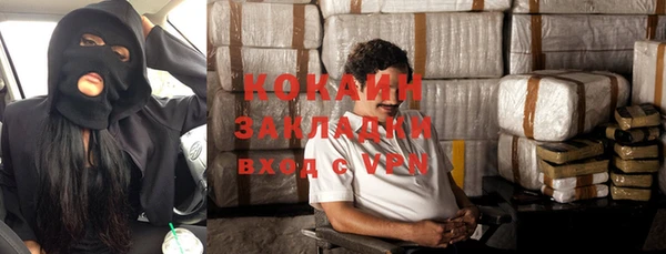 mdpv Ельня